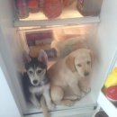 허숙희네 이미지