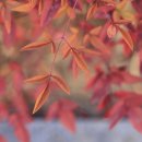 남천병원 이미지