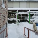 풍월농장 이미지