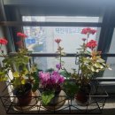 남산정요양병원 이미지