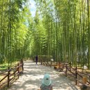 남가람공원 바닥분수 이미지