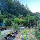 법수치여울목펜션 이미지