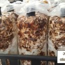 각영농장 이미지