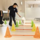 더위크앤리조트(더우프앤) 이미지