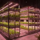 티에스팜 이미지