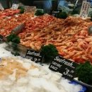싱싱한마켓
