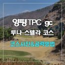 양평TPC gc 루나-스텔라 코스 사진 및 공략 방법