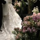 씨즈더데이 이미지