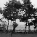 나의바다 이미지