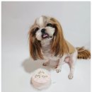 페리토리 이미지