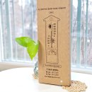 수은농장 | 실내온도 습도 관리 필수템 신생아 온습도계 추천