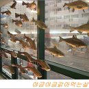 설가 이미지