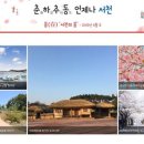 사계절 이미지