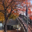 일산로695번길 이미지