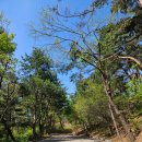 서장대 안내소 이미지