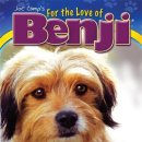 벤지동물병원 이미지