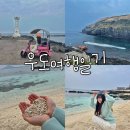 몬딱쉼터 | 오픈카와 함께 힐링하는 우도 한바퀴 총정리