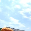 복흥농장 이미지