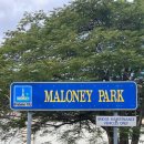 마로니파크 이미지