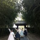 합천여자중학교 이미지