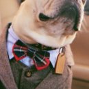 아메리칸 불리 하우스 이미지