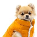 우프우프 이미지