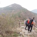 형제사슴목장 이미지