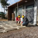 크리스마스애월 민박 이미지