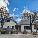 5월 감꽃 10월 홍시 이미지