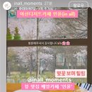 인올(IN ALL)