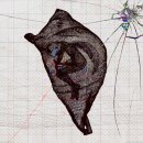 희망의 빛 이미지