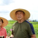 서택농장 이미지