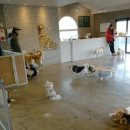 마리앤라인의원 이미지