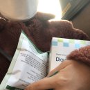 해맑은안과의원 | 각막 상처