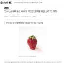 연석산미술관 네이버블로그