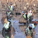 가래치기 이미지