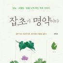 코리아헌터 | 폐암.어혈.담.요통.근육통.신경통.기침.중풍.사고후유증 우담남성 독초 천남성 코리아헌터 우담남성