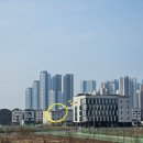 법률사무소노랑