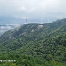 윗사기막 이미지