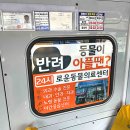 포인트광고마을