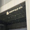 샤이한 걸의 25년 2월 청주 UNDERDOG EFFECT 공연 후기