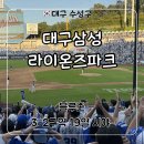 맘스컵밥 | 삼성라이온즈파크 블루존 3-2구역 19열 시야 응원석 후기, 먹거리 추천, 포토존 위치, 팀스토어 대기
