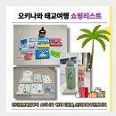 케이식자재마트 | [오키나와 태교여행] 쇼핑리스트 / 면세점, 현지 기념품, 돈키호테 추천템