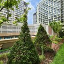 판교역힐스테이트부동산중개 이미지