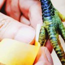 예우농장 이미지