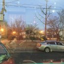 조가짬뽕 이미지