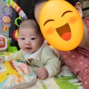 모모파크 이미지