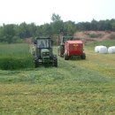 경주축산 이미지