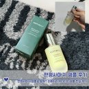 편평사마귀 앰플로 될까? 리퓨어리 악티타온 앰플 비립종 한달 후기