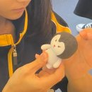 정화여자중학교 이미지